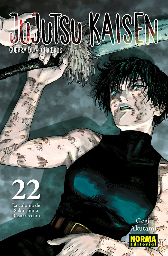 jujutsu-kaisen-22-(es)