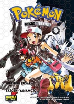 pokemon-26-negro-y-blanco-1-(es)