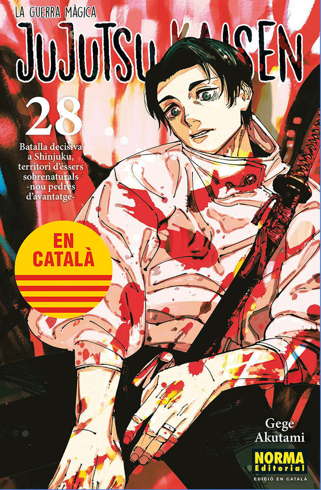 jujutsu-kaisen-28-(cat)