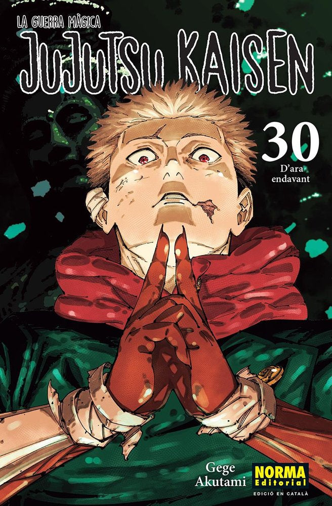 jujutsu-kaisen-30-(cat)