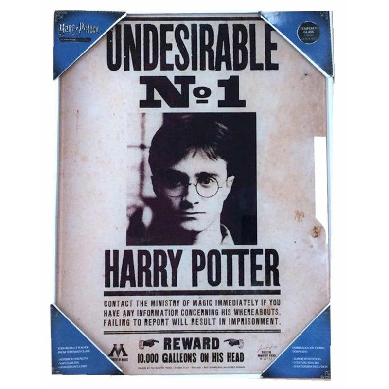 poster-cristal-harry-potter-indeseable-n1