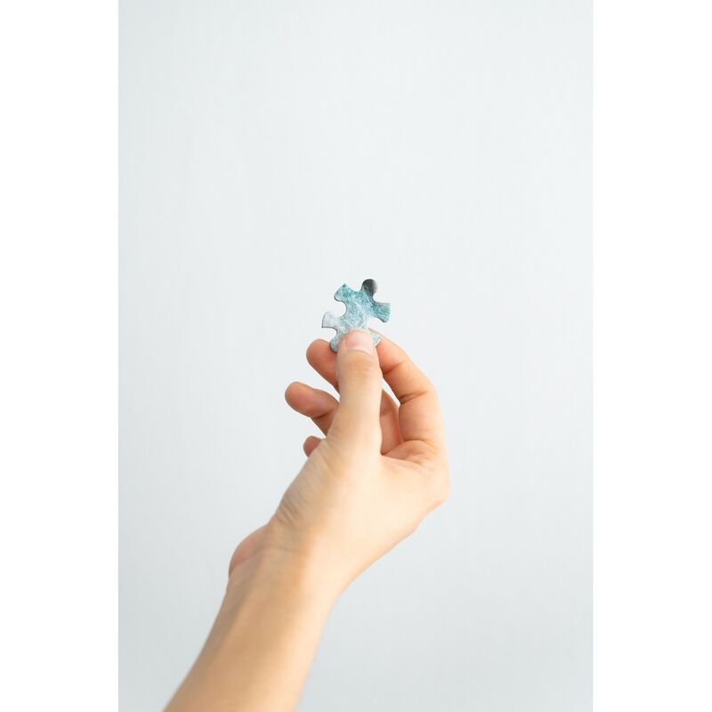 puzzle-harry-potter-y-el-prisionero-de-azkaban-harry-potter-500pzs