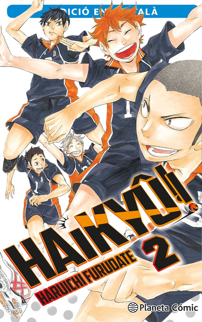 haikyu-2-(cat)