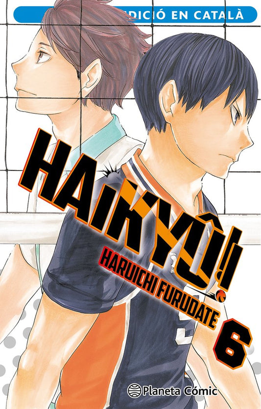 haikyu-6-(cat)