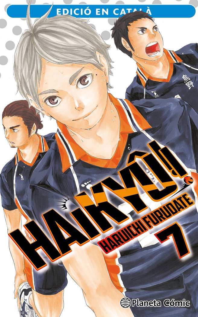 haikyu-7-(cat)