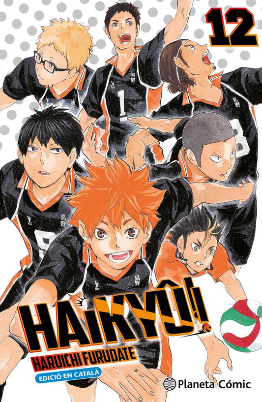 haikyu-12-(cat)