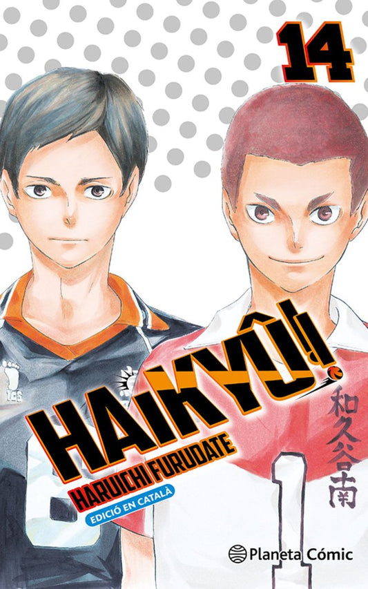 haikyu-14-(cat)
