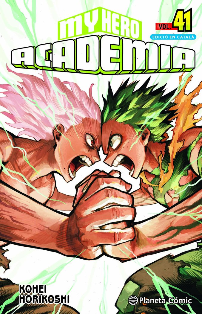 my-hero-academia-41-(cat)