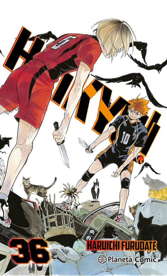 haikyu-36-(es)