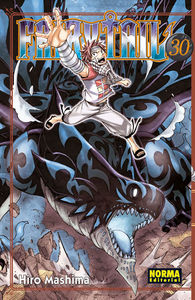 fairy-tail-30-(es)