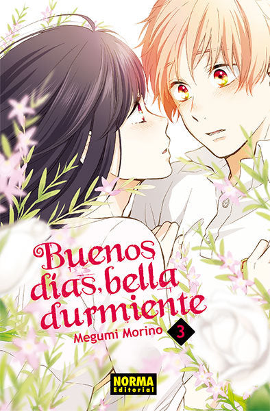 buenos-dias-bella-durmiente-3-(es)