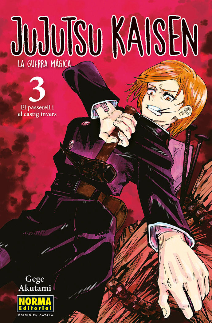 jujutsu-kaisen-3-(cat)