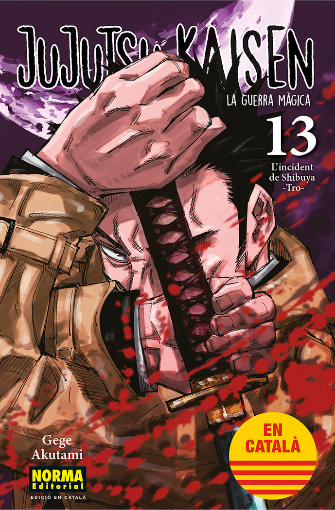 jujutsu-kaisen-13-(cat)