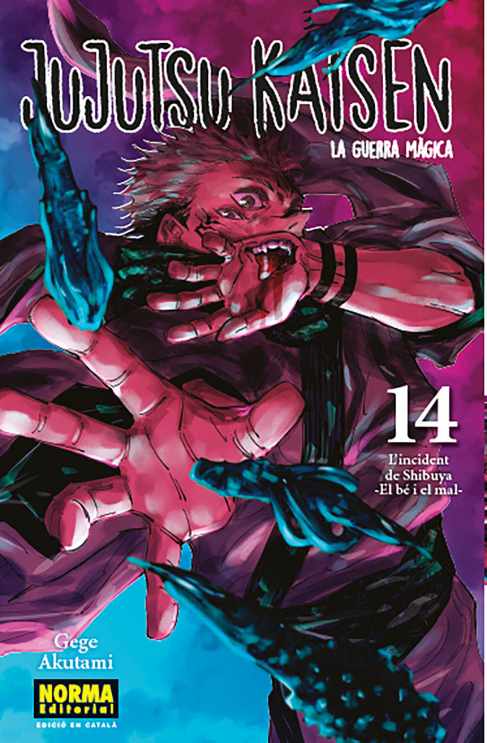 jujutsu-kaisen-14-(cat)