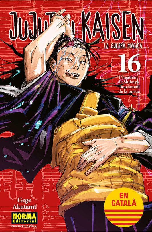 jujutsu-kaisen-16-(cat)