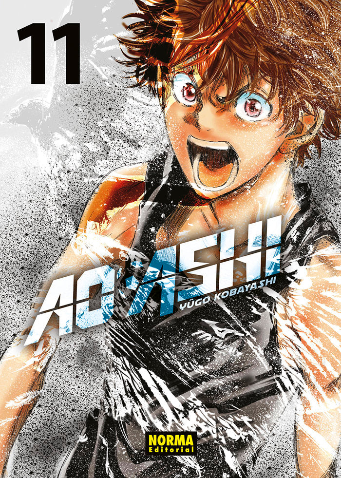 ao-ashi-11-(es)