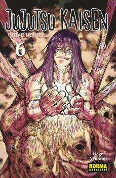 jujutsu-kaisen-6-ne-(es)