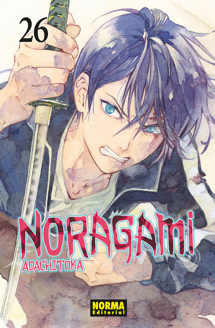 noragami-26-(es)