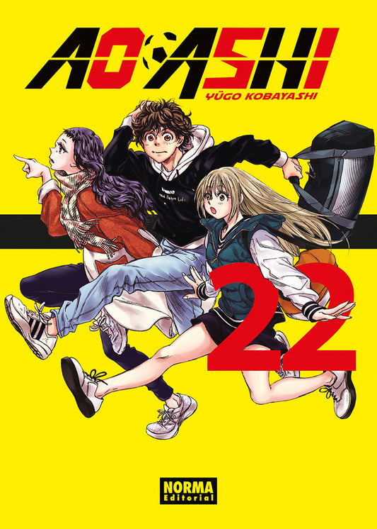 ao-ashi-22-(es)
