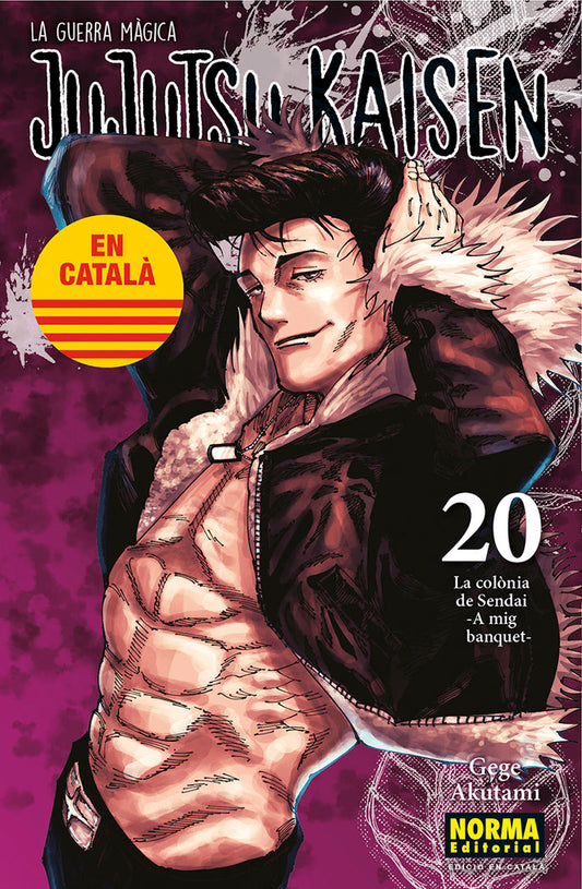jujutsu-kaisen-20-(cat)