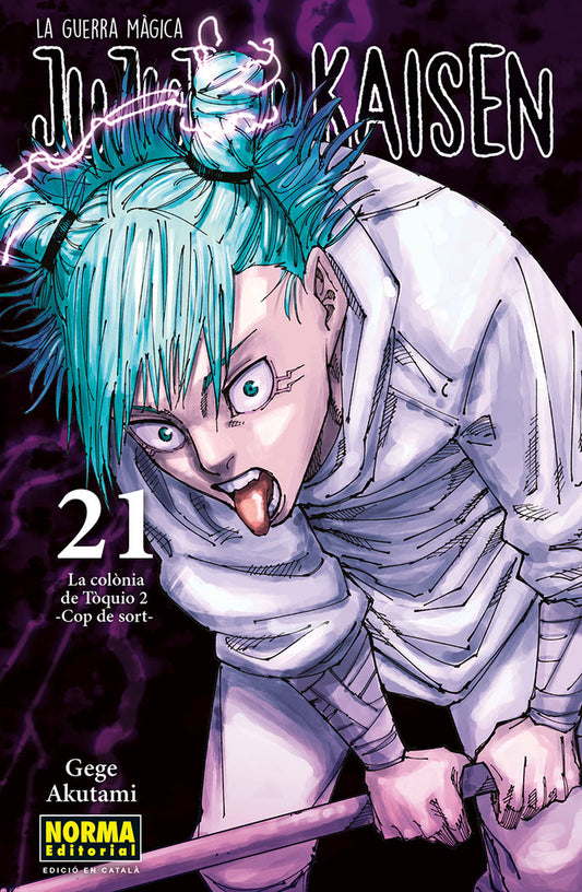 jujutsu-kaisen-21-(cat)