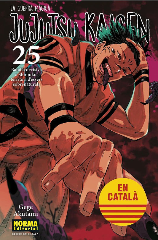 jujutsu-kaisen-25-(cat)