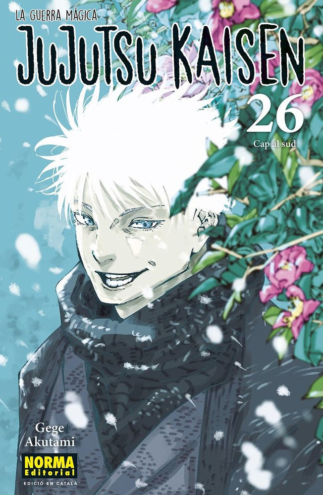 jujutsu-kaisen-26-(cat)