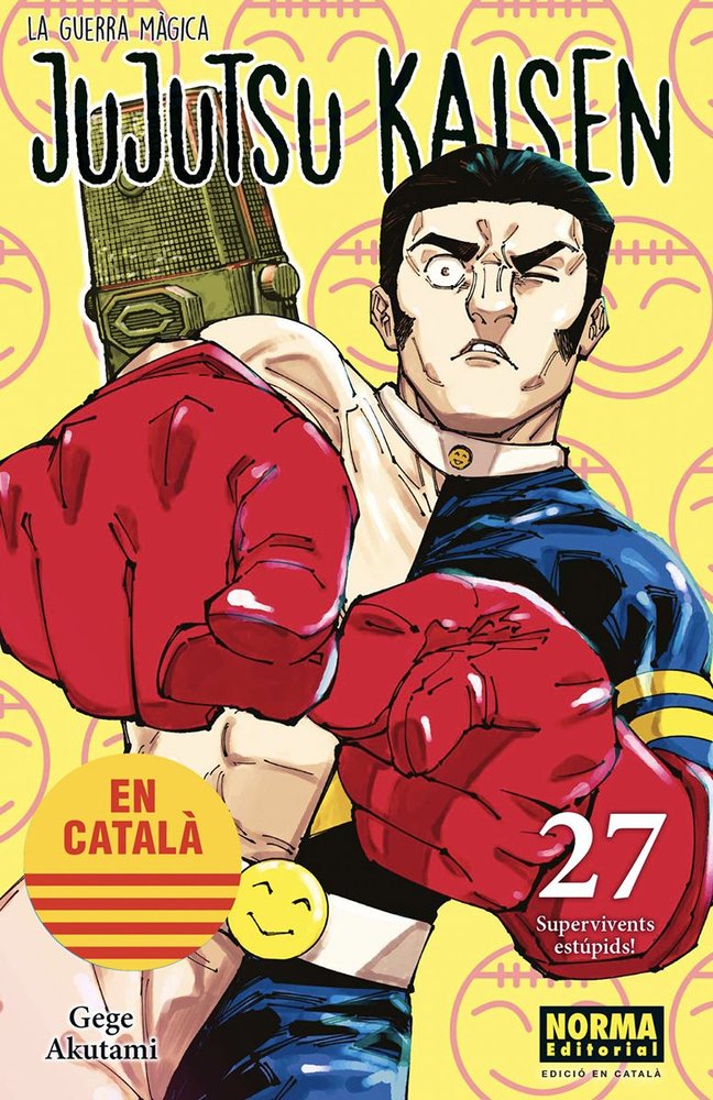 jujutsu-kaisen-27-(cat)