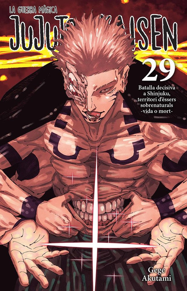 jujutsu-kaisen-29-(cat)