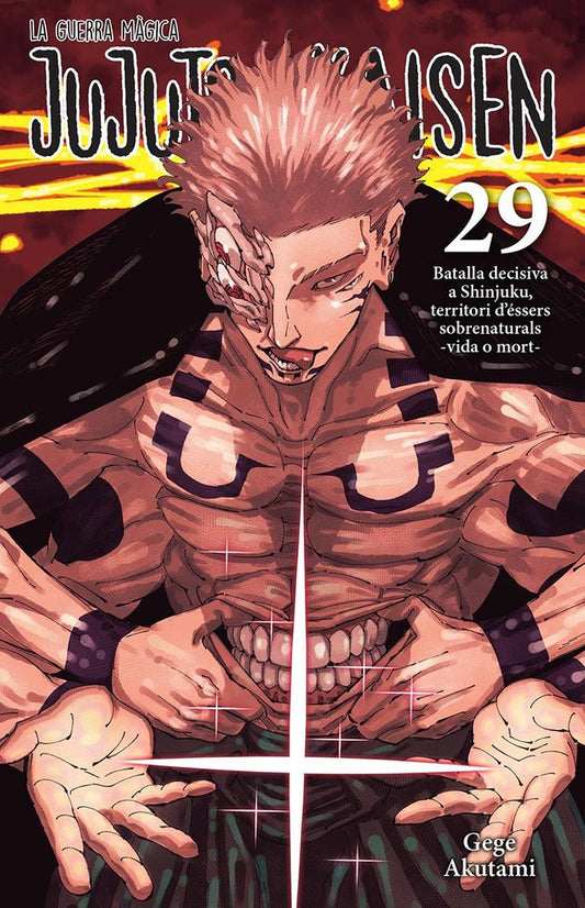 jujutsu-kaisen-29-(cat)