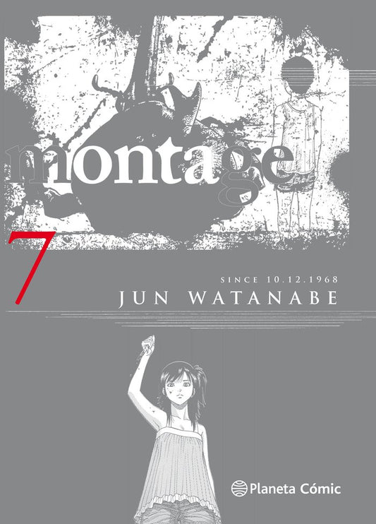 montage-n-0709-(es)