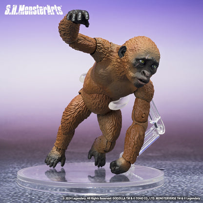 figuras-articuladas-suko-y-mothra-godzilla-x-kong-the-new-empire-pack-sh-monsterarts