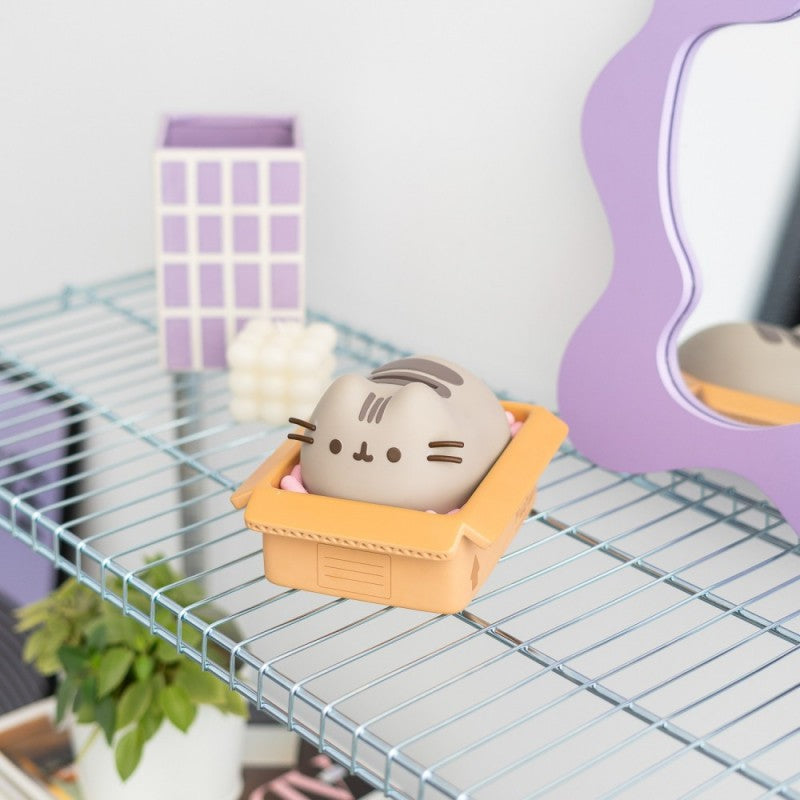 hucha-pusheen