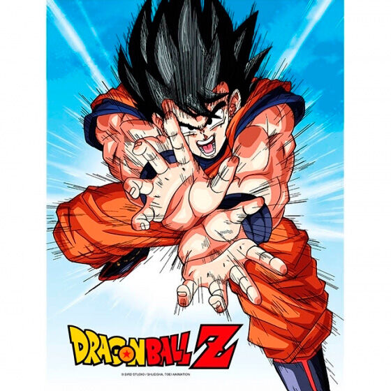 poster-cristal-goku-kame-dragon-ball-z