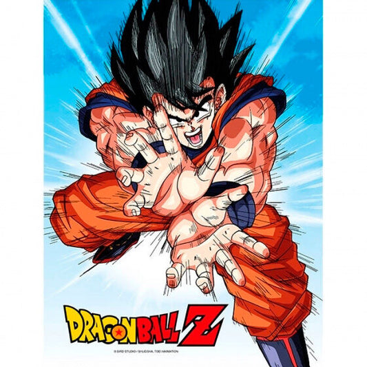 poster-cristal-goku-kame-dragon-ball-z