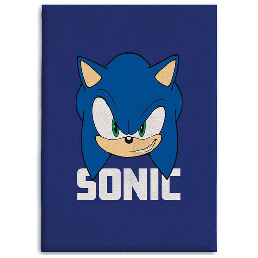 manta-polar-sonic-the-hedgehog