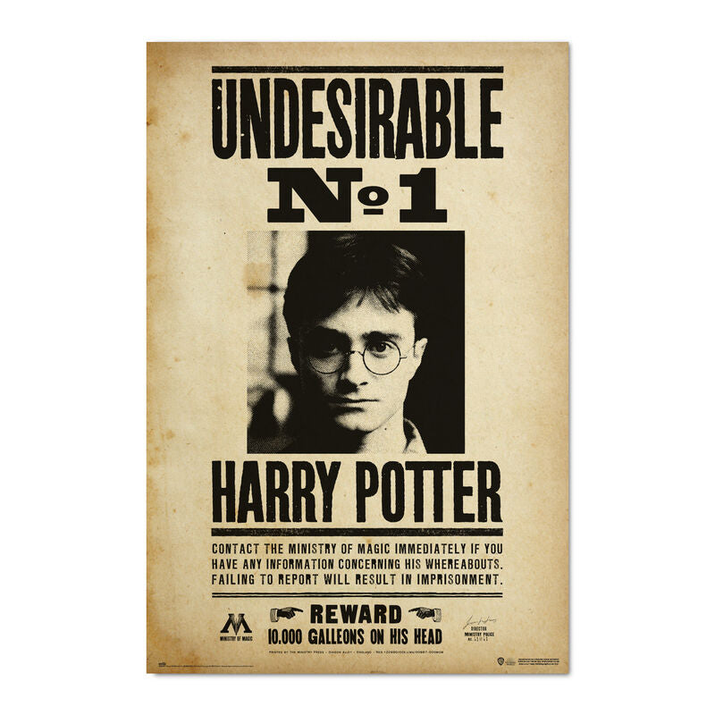 poster-indeseable-numero-1-harry-potter